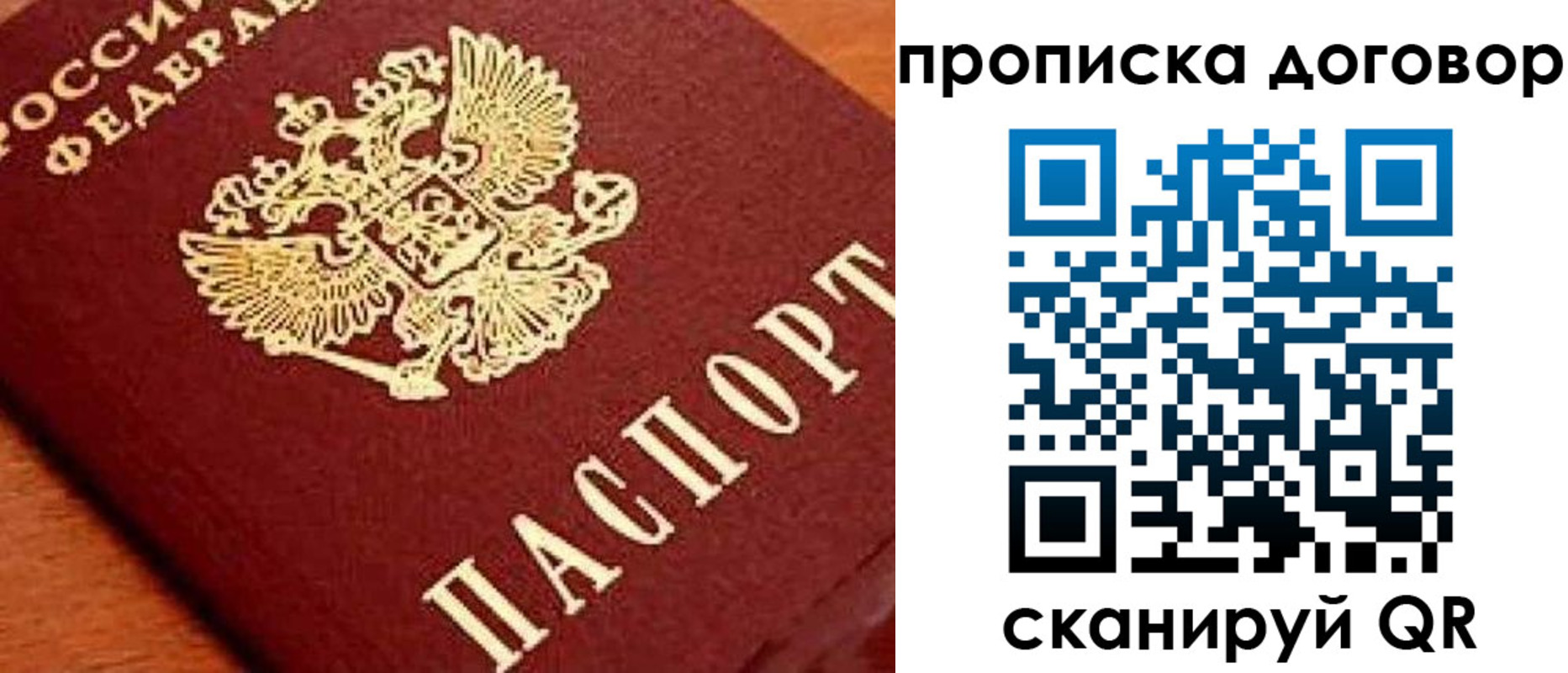 прописка поиск в Новгородской области